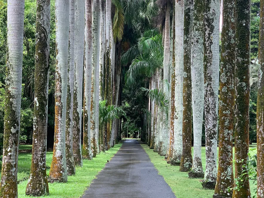 How we cover things to do in darwin